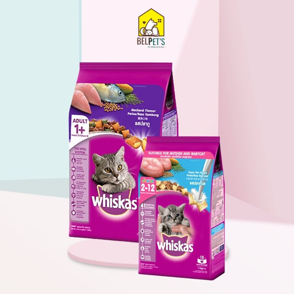 Thức ăn cho mèo whiskas hương vị cá giàu omega hạt mèo whiskas kén ăn nhập khẩu thái lan thức ăn hạt khô dinh dưỡng cho thú cưng