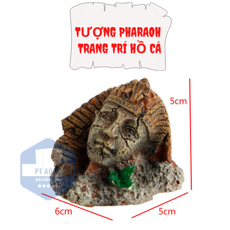 Phụ kiện trang trí hồ cá mini
