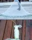 Traditional hand cast net, tire line, hand cast net, fish net, fishing net, powerful horse old style easy to cast net, automatic fishing net, throwing net. 