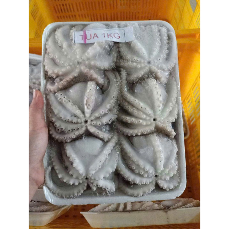 Bạch tuộc sữa baby 400g (giao tphcm)