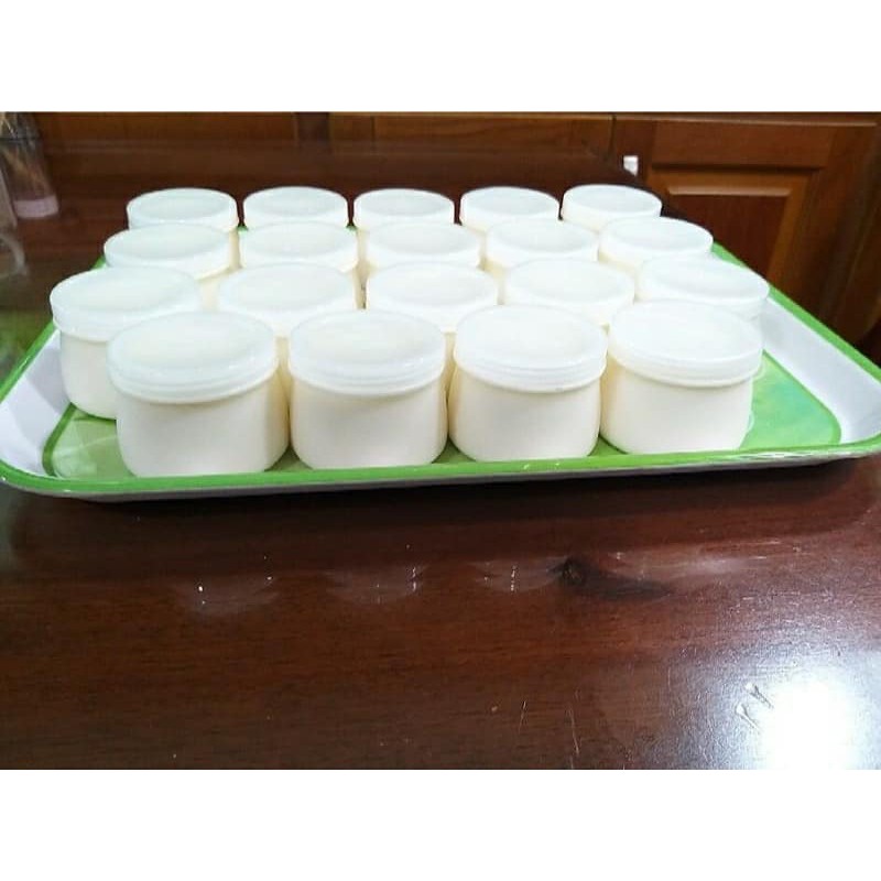 Nấm Kefir + vợt lọc ( tặng thìa nhựa )