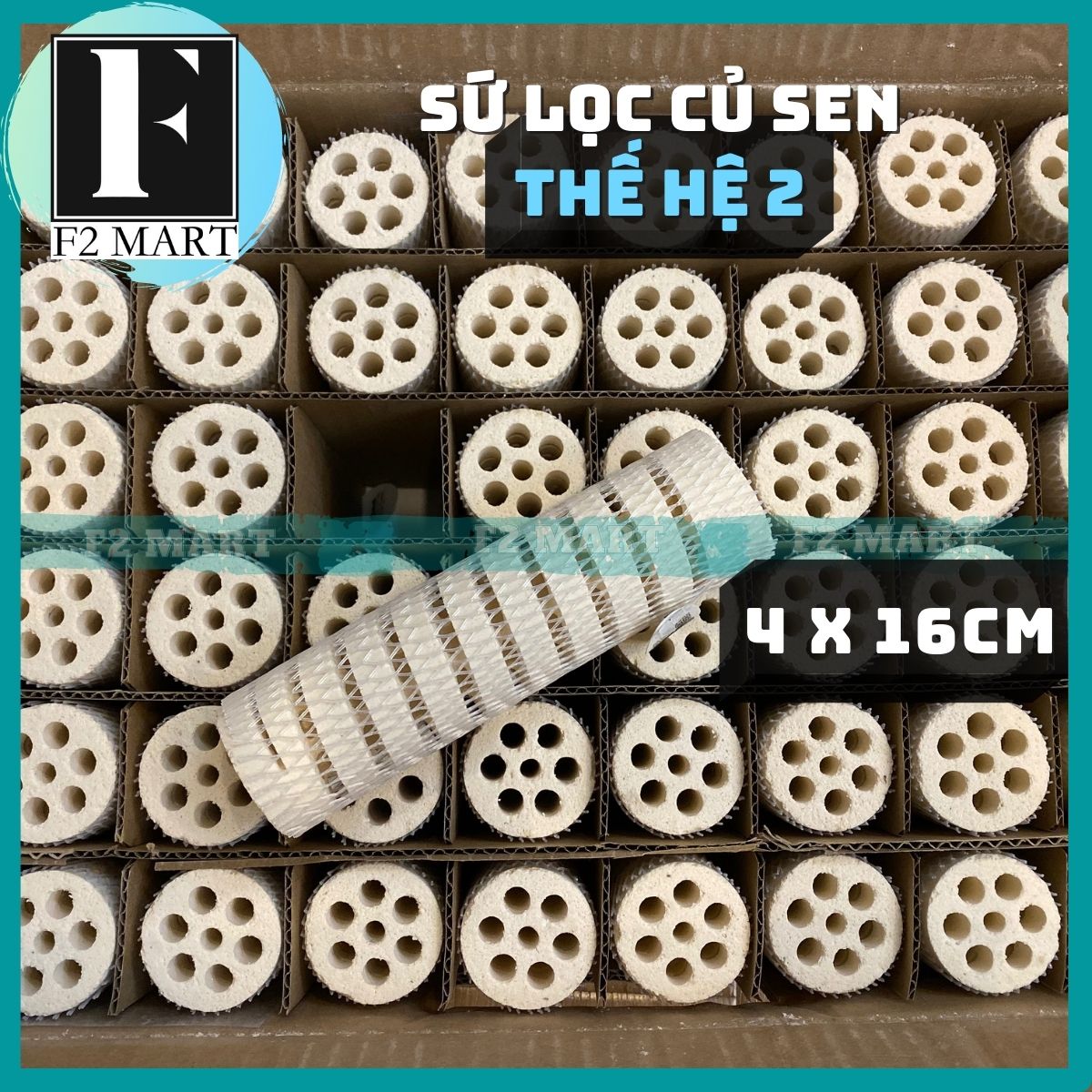 Sứ lọc củ sen Mountain Tree Lotus Root Bacteria House