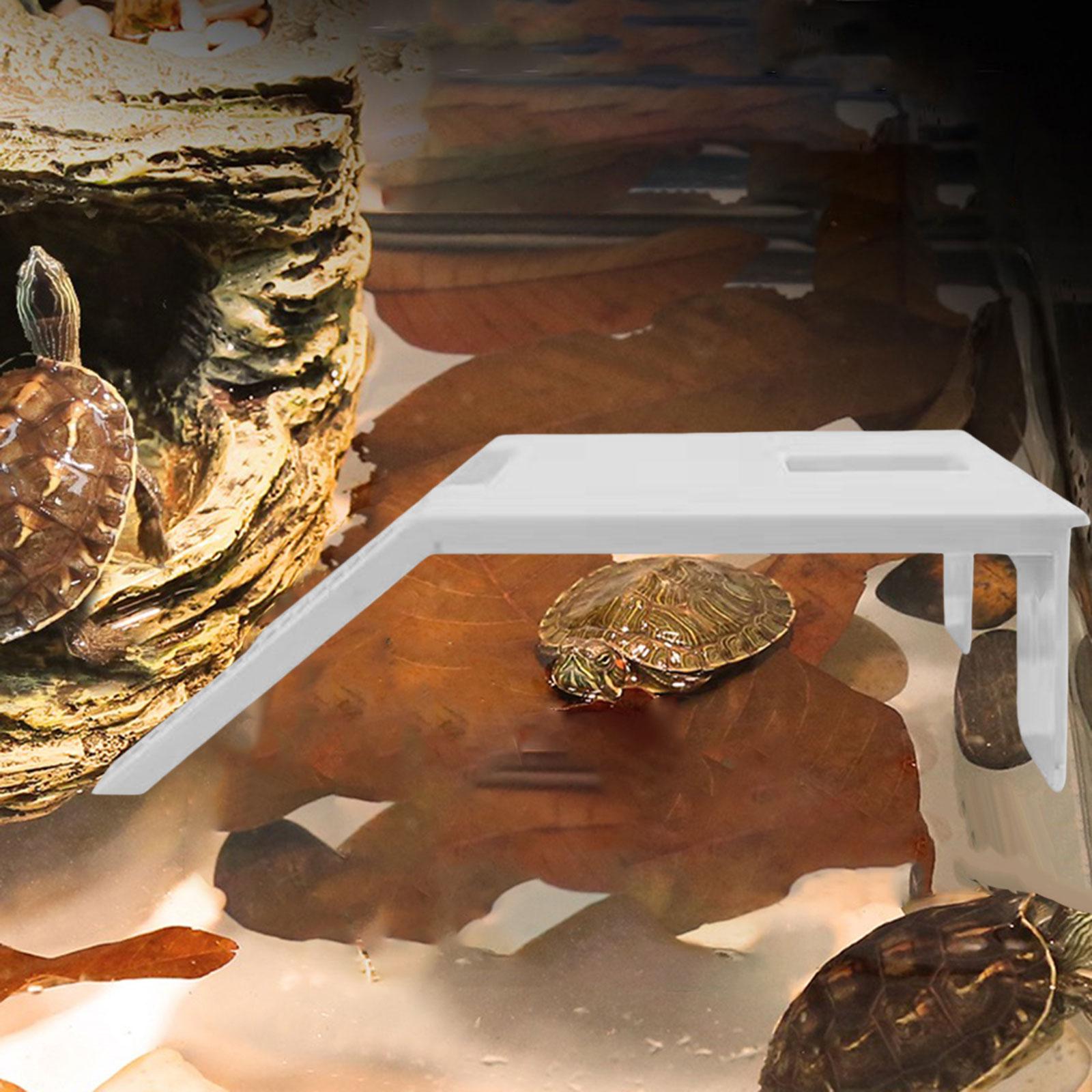 Moon TRIANGLE Turtle Resting Basking Platform Climbing Shelf for Frog Tortoises Amphibians