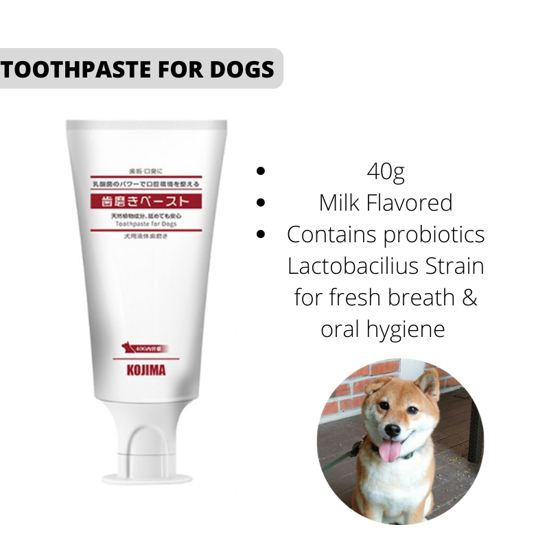 Kojima Toothbrush Toothpaste for Dogs & Cats Dental Oral Care Wipes Pet