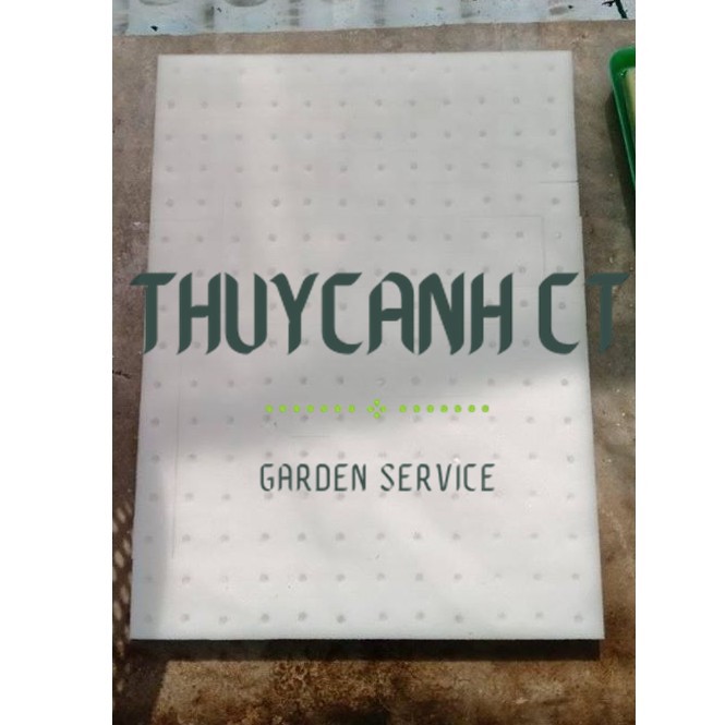 Mút xốp ươm hạt, mút ươm hạt thủy canh 480 viên
