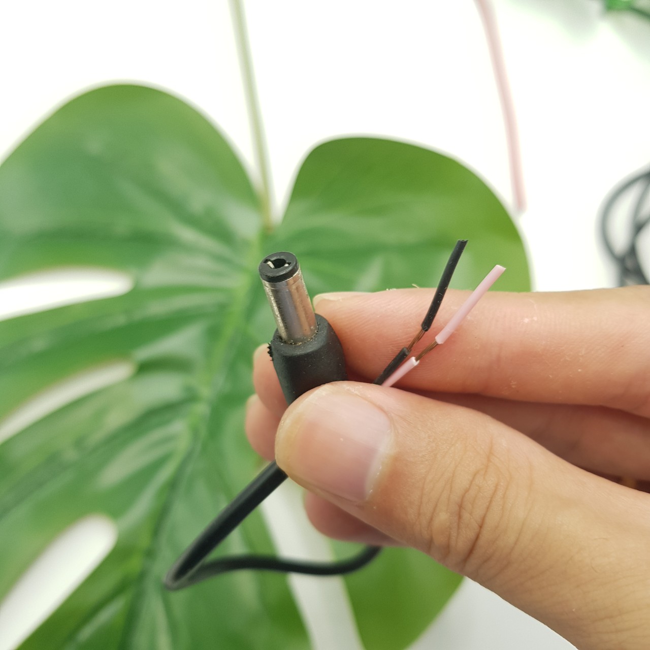 Dây Nguồn có Jack DC 5.5*2.1mm