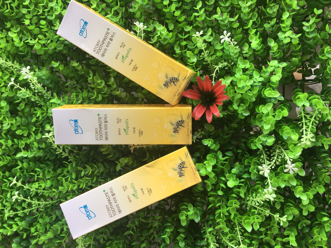 Kem đánh răng từ sáp ong Atomy Toothpaste