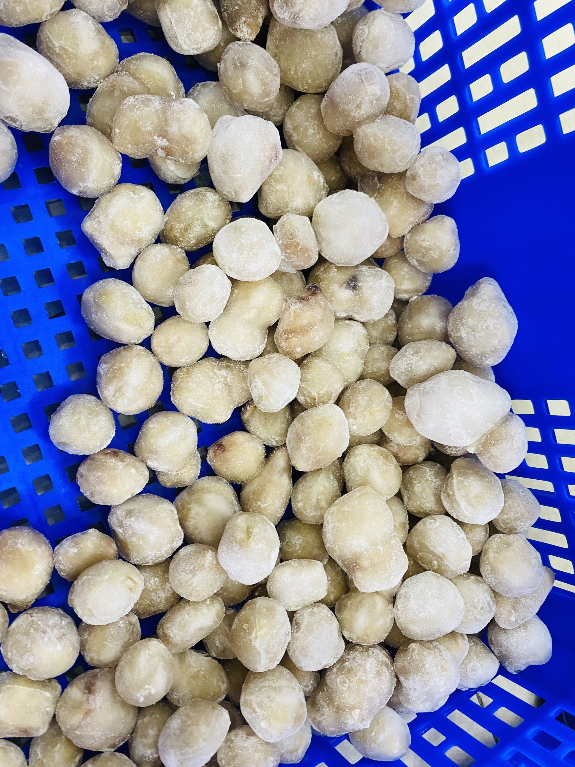 [GIAO NHANH 2H HCM] Giá Sỉ 1Kg Răng Mực Làm Sạch