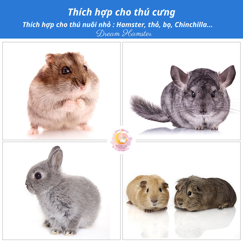 Đá tản nhiệt cho hamster