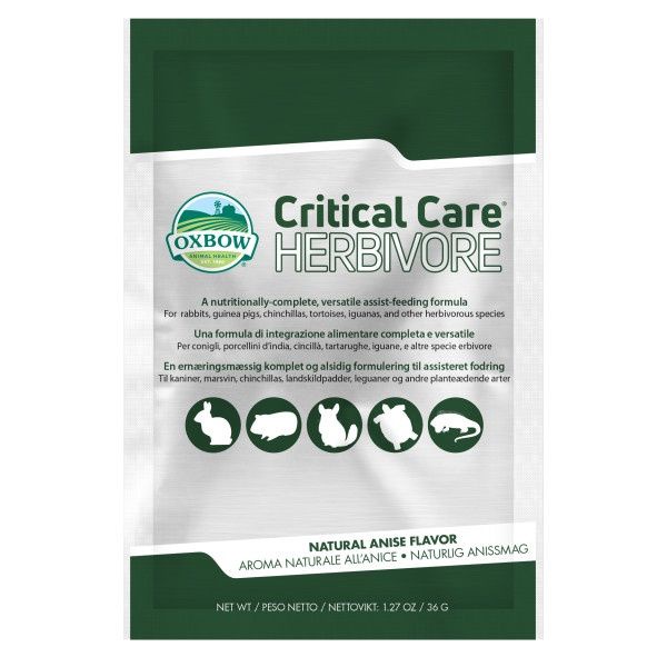 Oxbow Critical Care - thức ăn phục hồi khần cấp cho Thỏ - Bọ - Rùa - Bò Sát