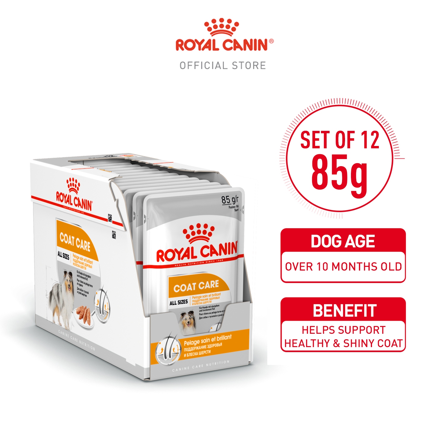 Royal Canin Coat Care (85g x 12 pouches) Wet Dog Food Canine Care
