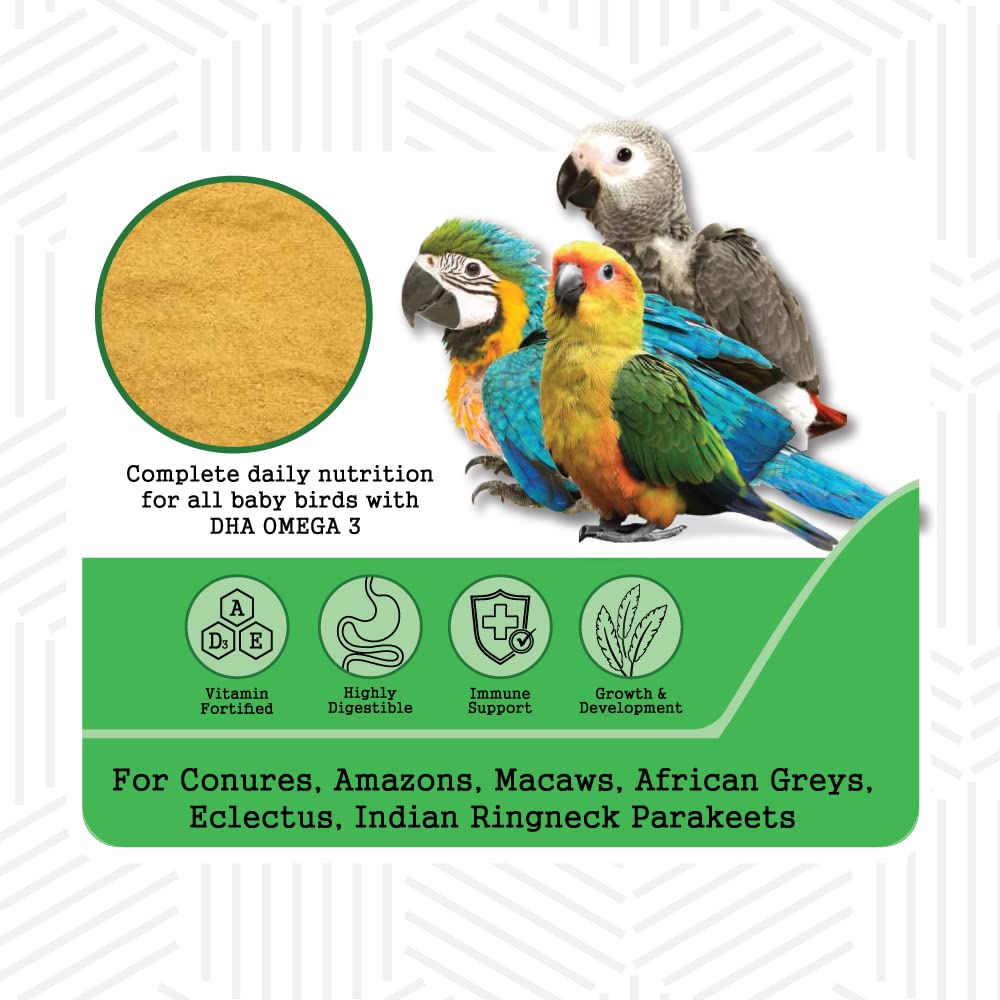 Petslife%20Hand%20Feeding%20Seed%20Mix%20Formula%20Baby%20Bird%20Food,%20Vegetable%20Flavor,%20500g%20-%20Image%202