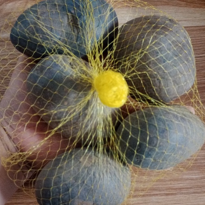 CỦ GIỐNG KHOAI TÂY TÍM