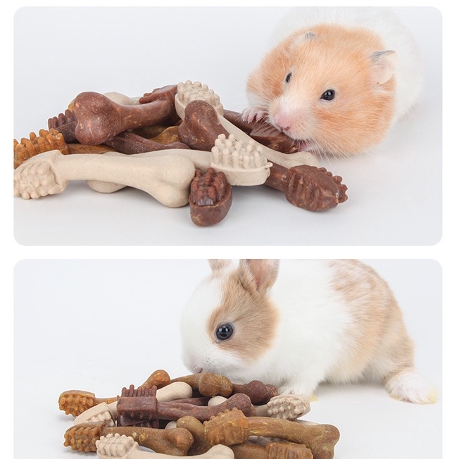 Bàn chải Mài răng Jonsanty, mài răng Hamster