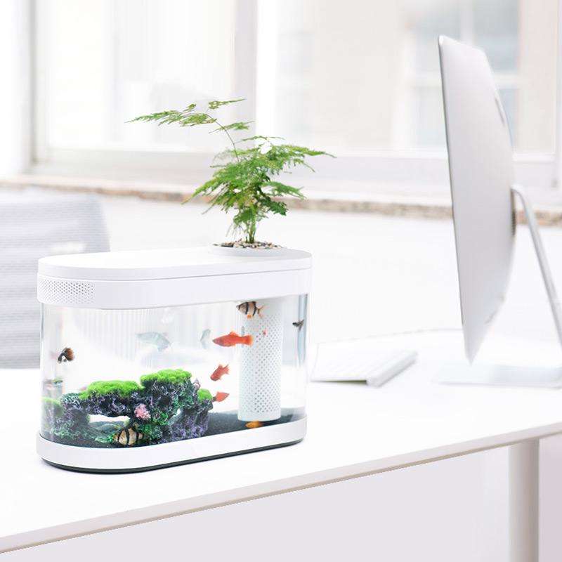 eco fish tank