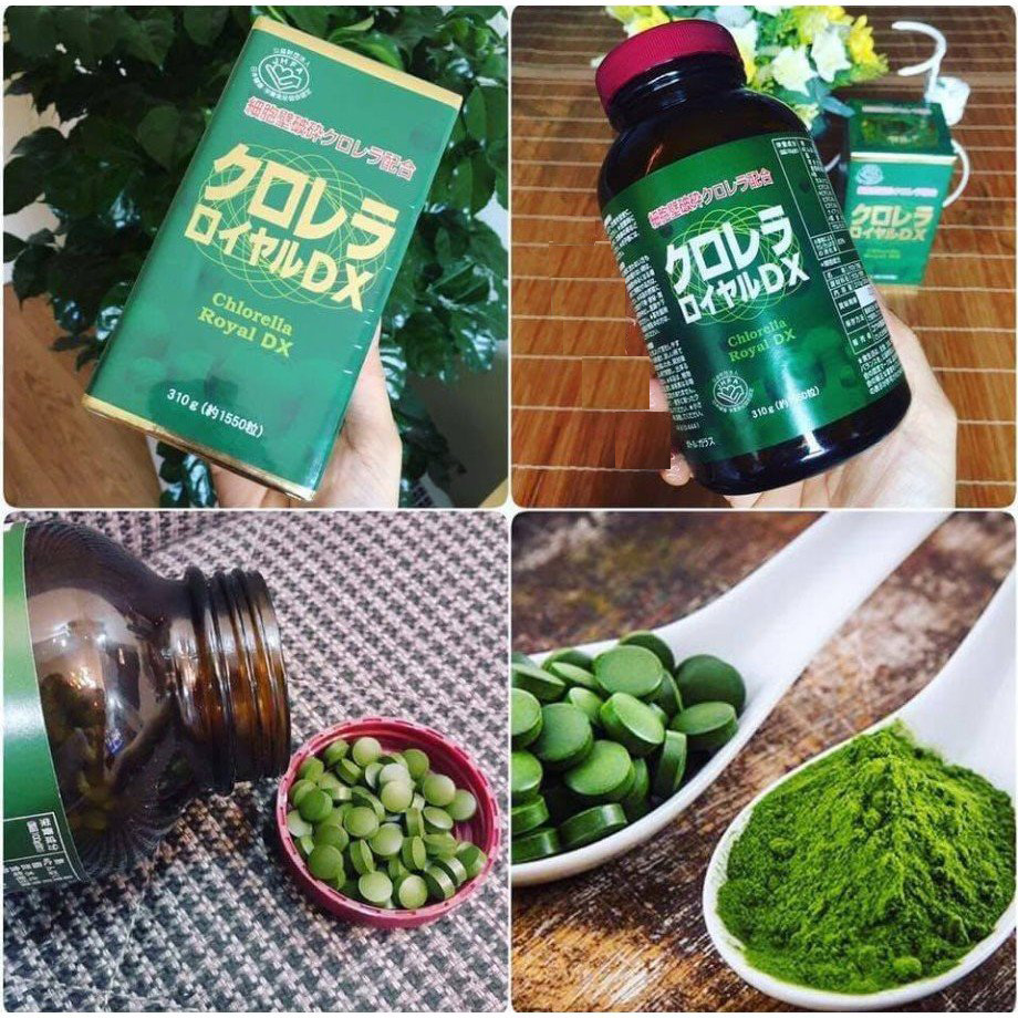 Tảo lục Chlorella Royal DX 1550v Nhật Bản