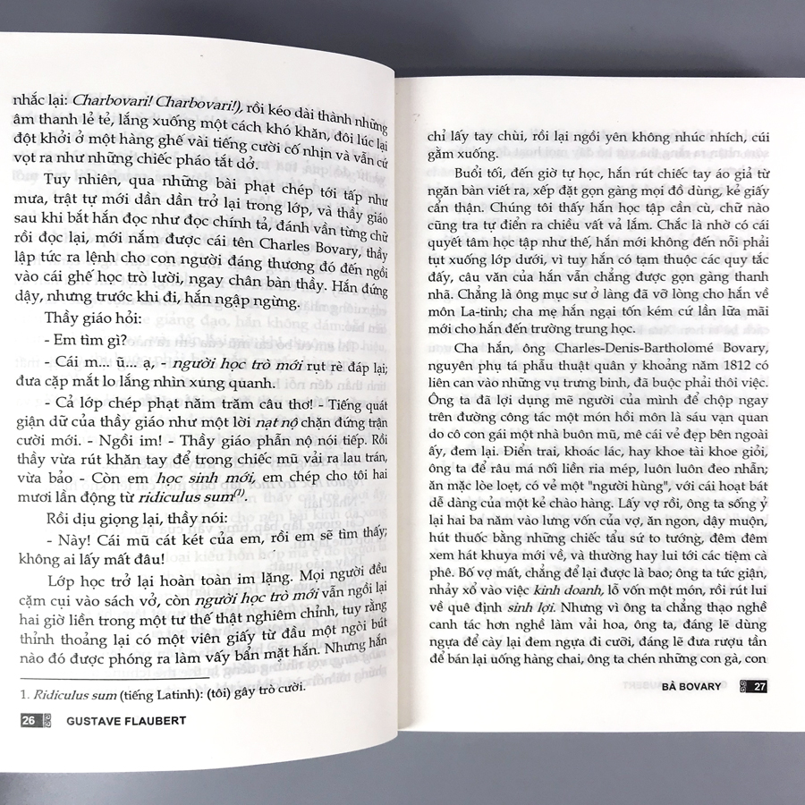 Sách Bà Bovary