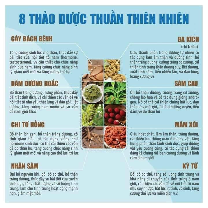 Bổ thận Thiên Sư, viên bổ thận tiens