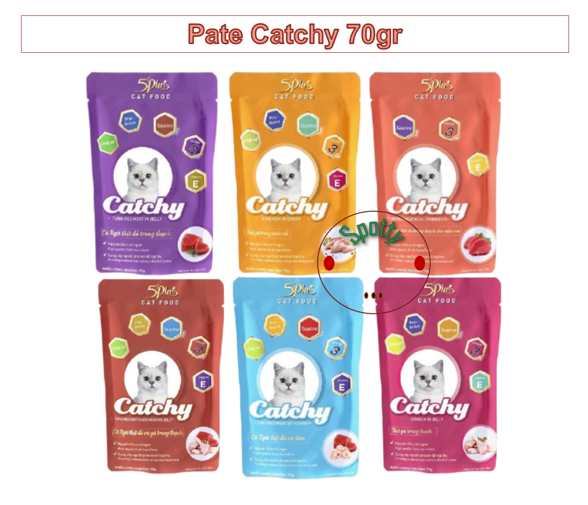 Pate mèo 5plus catchy gói 70g