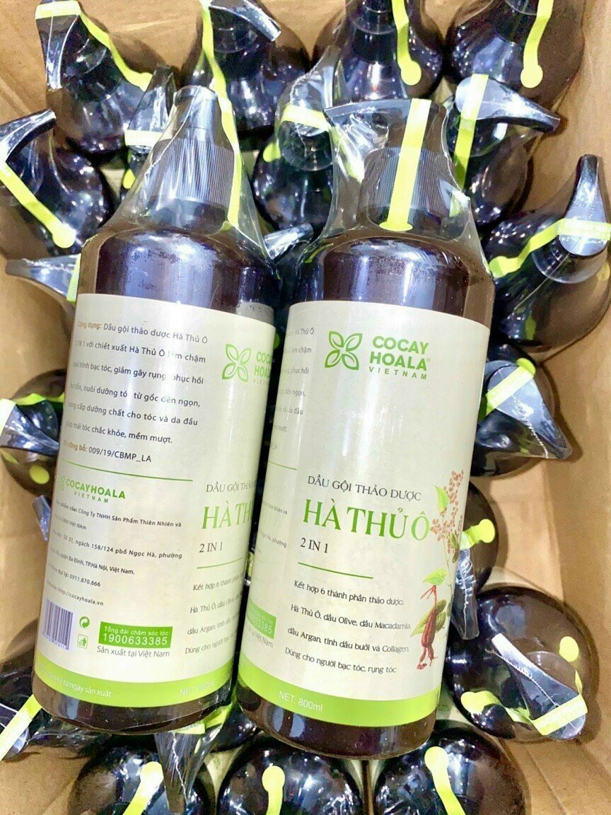 Dầu gội thảo dược Hà thủ ô 800ml 2 in1