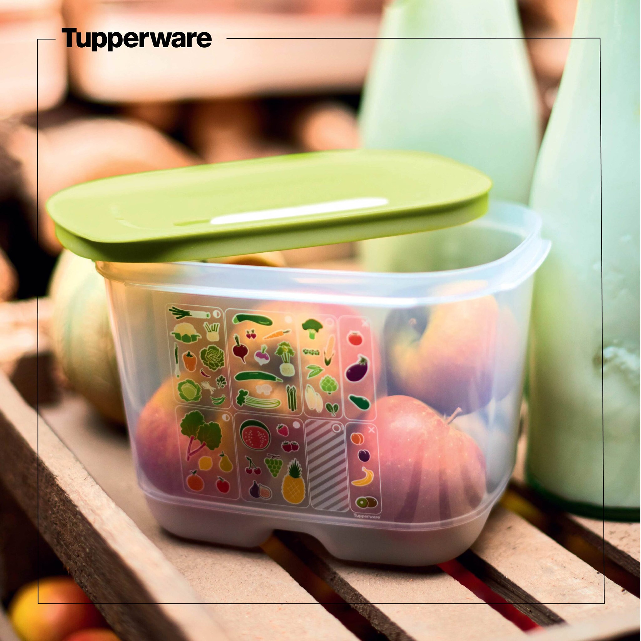 Hộp trữ mát có nút hô hấp Tupperware Ventsmart (Hộp lẻ)