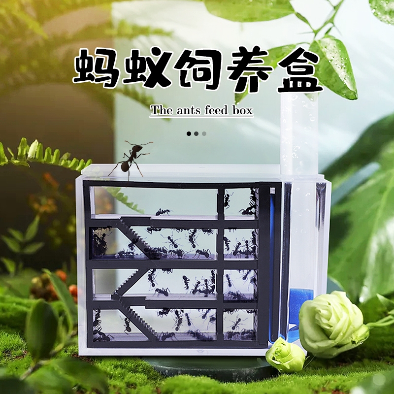 Ant castle acrylic ant nest box for raising ants ant workshop castle ...