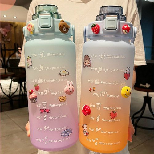Bình Nhựa DETOX KÈM TÚI ĐỰNG 1000ml