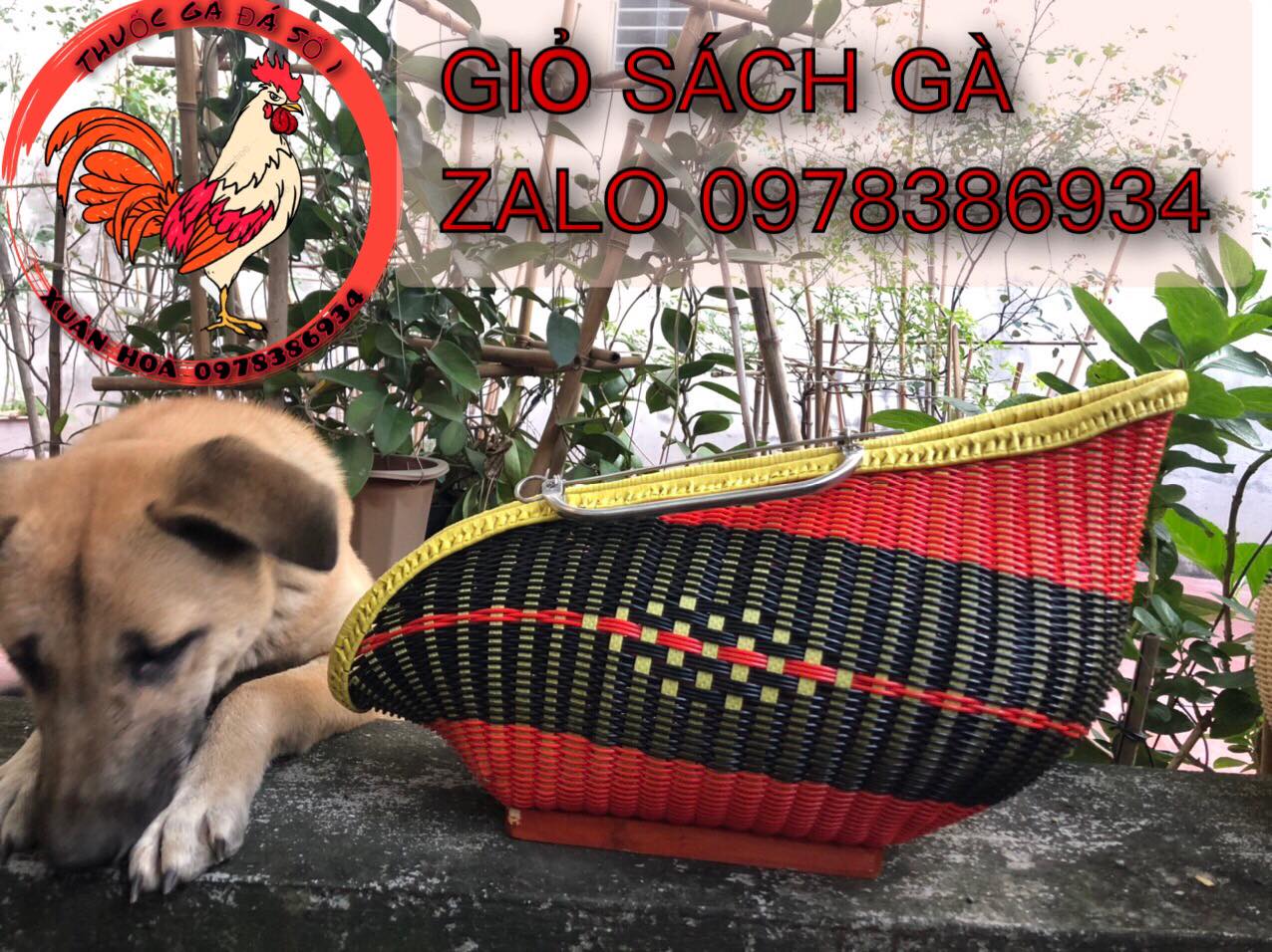 Giỏ đựng gà đá, sách gà đi sách tiền về