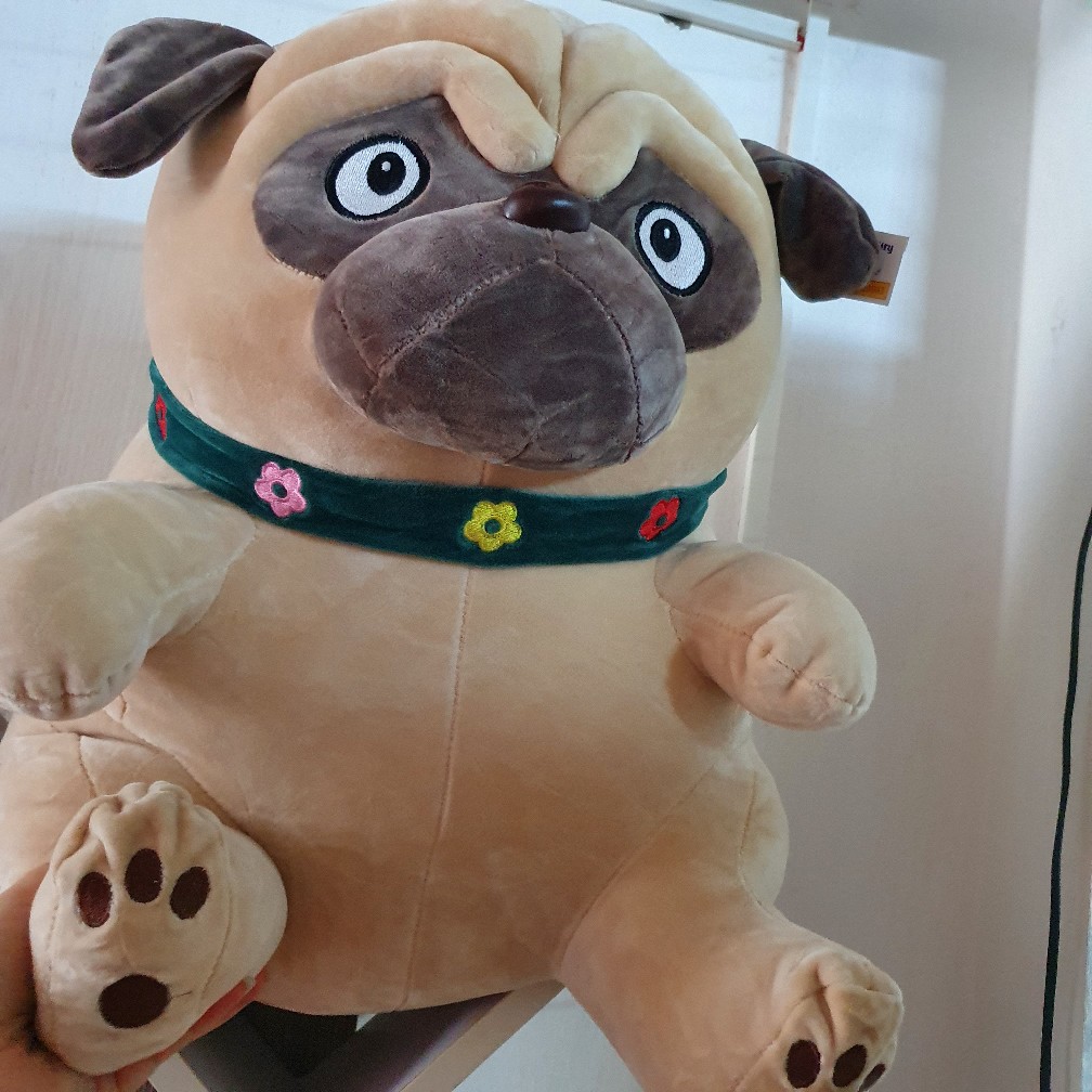 Gấu bông chó mặt xệ Chó Pug