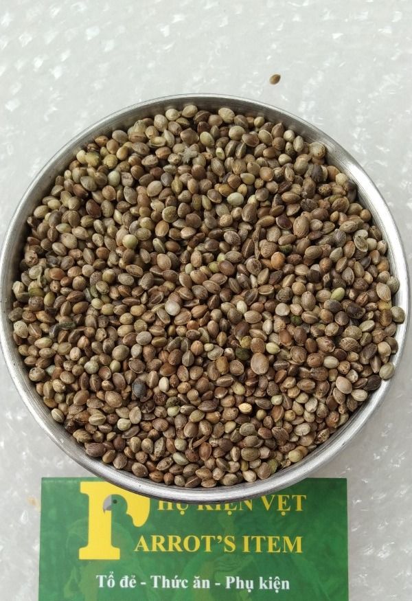 1Kg hạt Láng gà(tròn) cho thú cưng,vẹt và chim