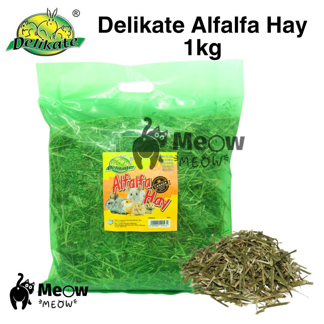 Delikate Alfalfa Hay (1kg) Premium Alfalfa For Small Pets, Rabbits ... - Guinea Pig Grazing Alfalfa Hay Outside