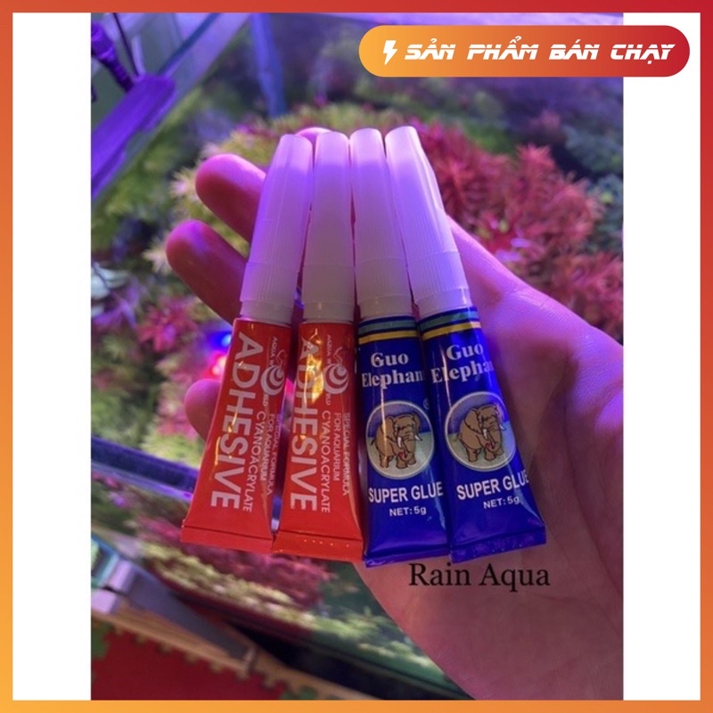 Keo Dán Rêu | Keo dán cây thuỷ sinh