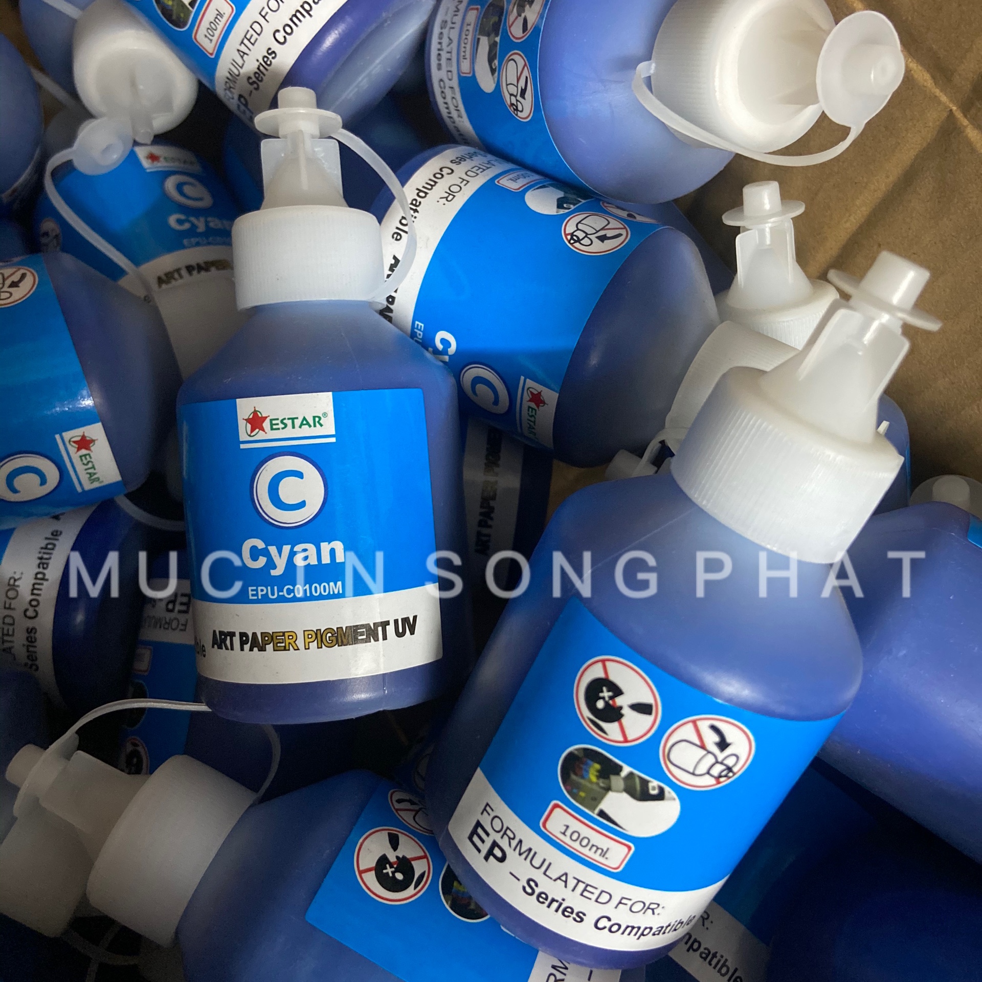 Mực dầu Pigment UV Epson 100ml (Giá tính trên 1 màu)