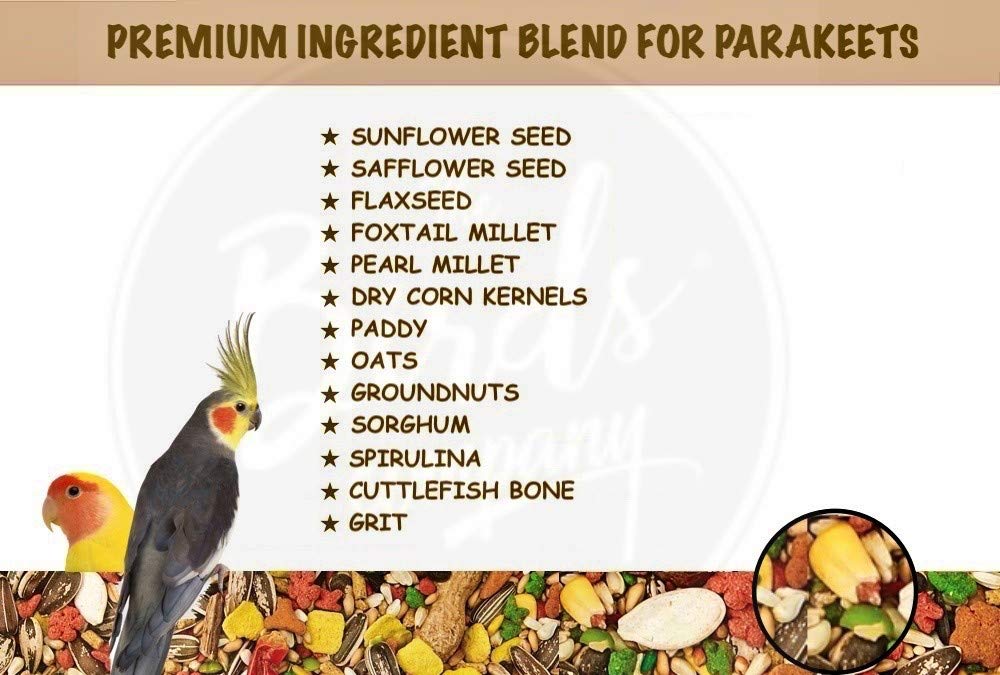 The%20Birds%20Company%20Premium%20Seed%20Blend%20of%209%20Grains%20&%20Nuts,%20Fortified%20with%20Spirulina,%20Bird%20Food%20for%20Parakeets,%20Lovebirds,%20Cockatiels,%201%20kg%20pack%20-%20Image%203