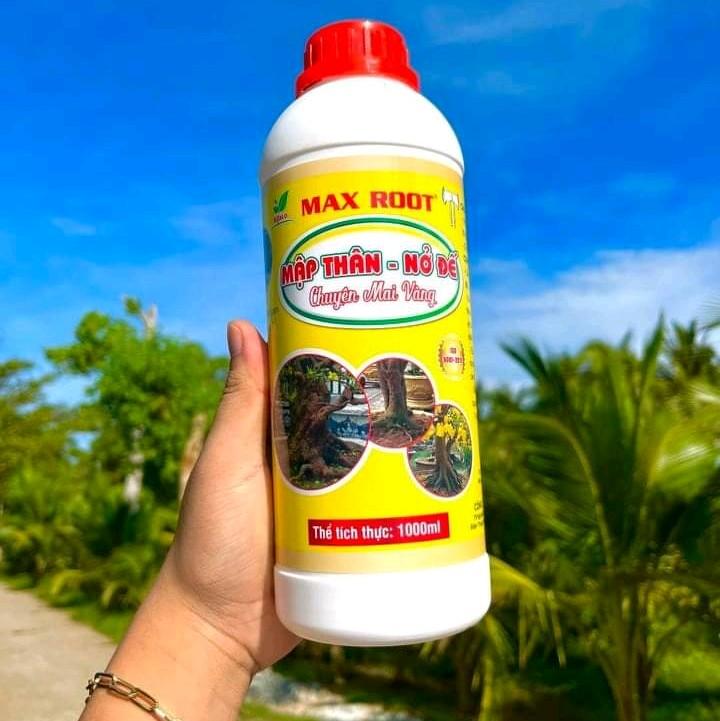 MẬP THÂN NỞ ĐẾ