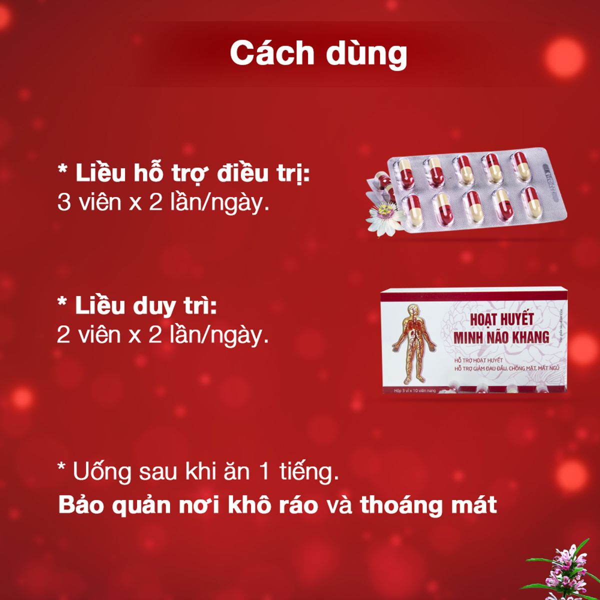 Hoạt huyết minh não khang - Dân Khang