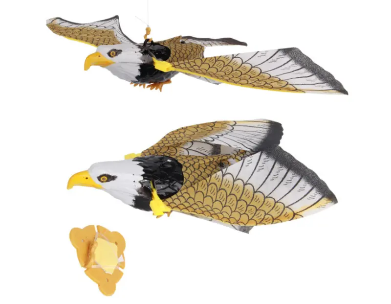 ภาพสินค้า( เร็ว1วัน) นกใส่ถ่าน ปีกขยับได้ นกมีเสียง นกเหยี่ยว ไล่นก มีไฟแดงที่ตา และรุ่นบินได้อย่างเดียว นกแก้ว อุปกรณ์ครบชุด จากร้าน Plaitahngshop2020 บน Lazada ภาพที่ 5