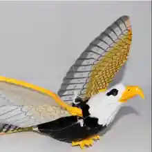 ภาพขนาดย่อของภาพหน้าปกสินค้า( เร็ว1วัน) นกใส่ถ่าน ปีกขยับได้ นกมีเสียง นกเหยี่ยว ไล่นก มีไฟแดงที่ตา และรุ่นบินได้อย่างเดียว นกแก้ว อุปกรณ์ครบชุด จากร้าน Plaitahngshop2020 บน Lazada ภาพที่ 3