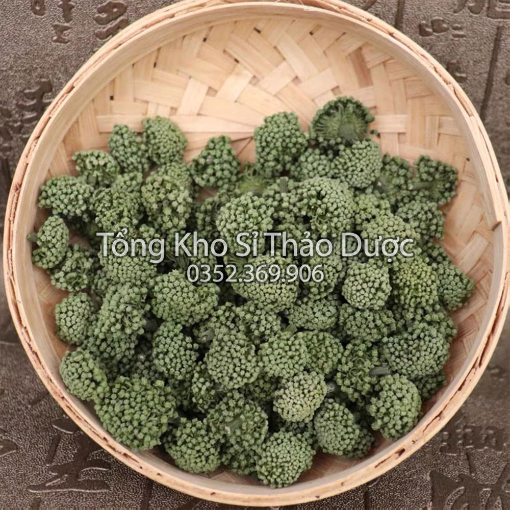 Nụ hoa tam thất không cuống 100g (Nụ xanh, đẹp)