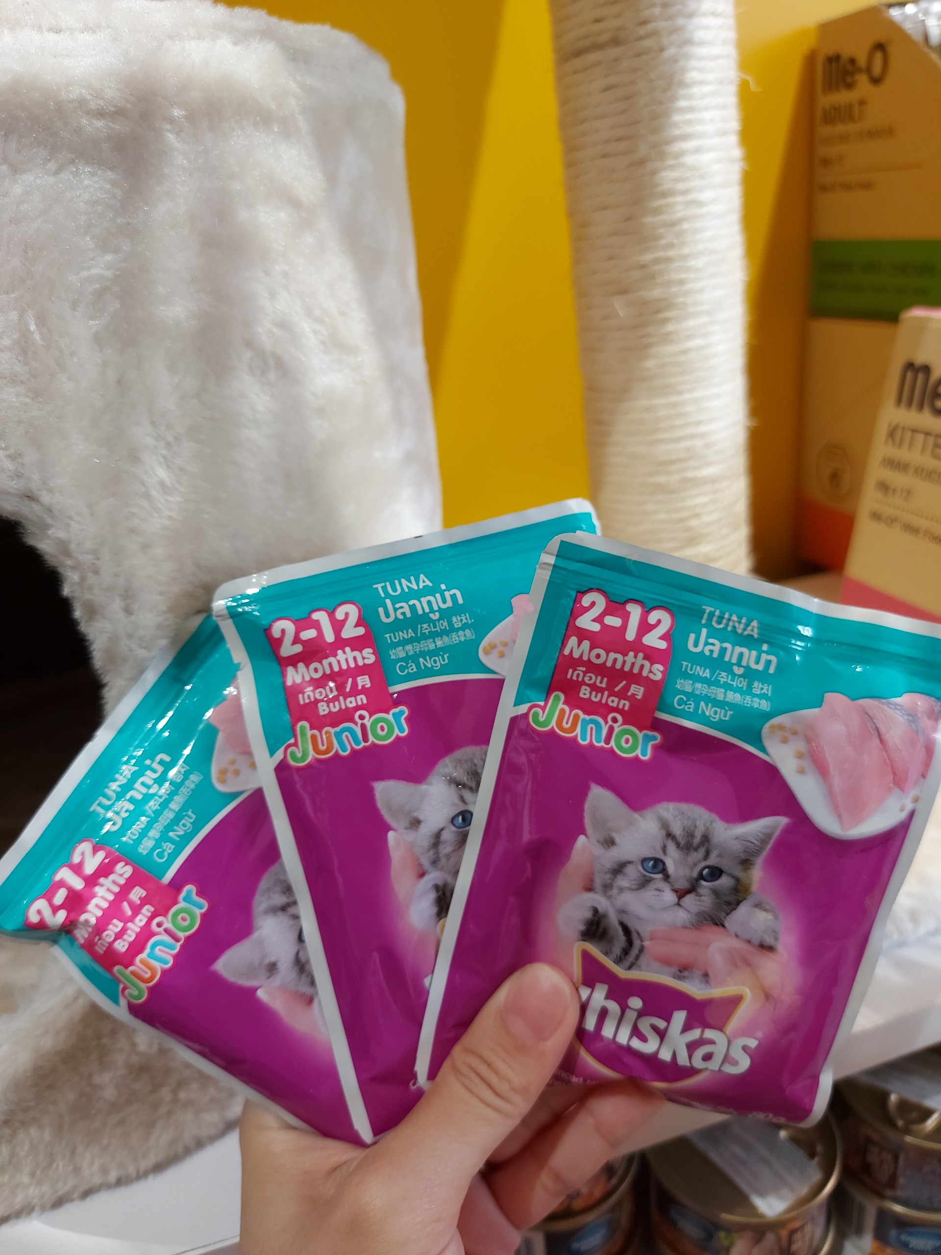Combo 5 gói Pate Whiskas cho mèo (5 x 80g)