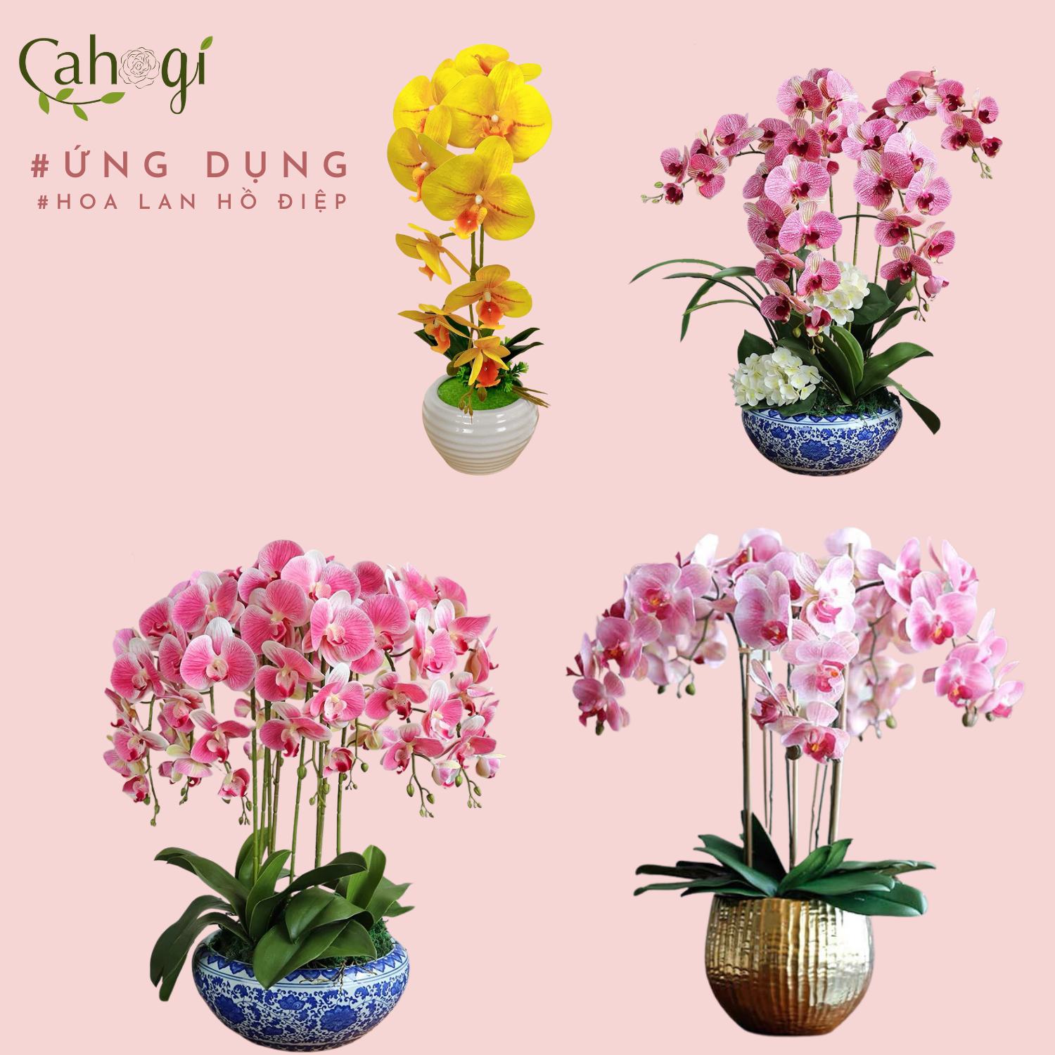Cành Lan Cao Su Giả 9 Bông Cỡ Lớn