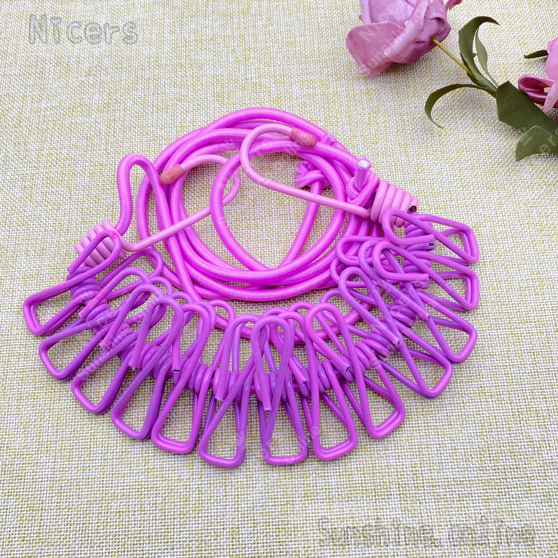 Portable Clothesline Stretch Nylon Laundry Clothesline With 12pcs clips Lazada PH