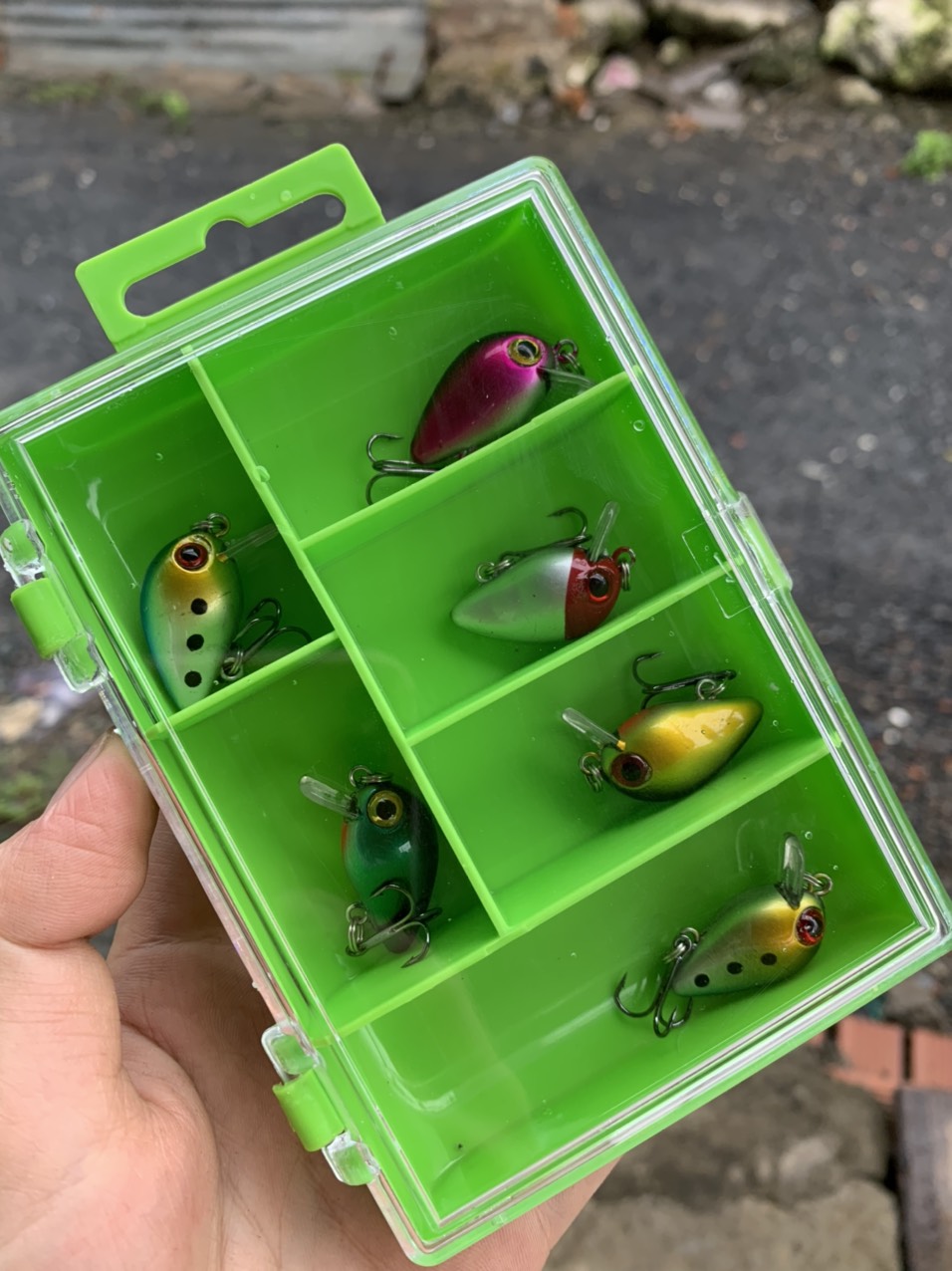 SET MỒI RUỒI GIẢ CÂU LURE