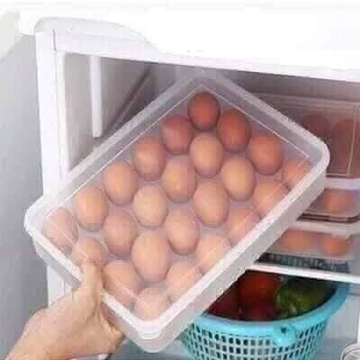 Khay đựng trứng Việt Nhật, Hộp đựng trứng
