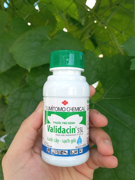 [SALE] Thuốc trừ nấm bệnh Validacin 5SL 100ml