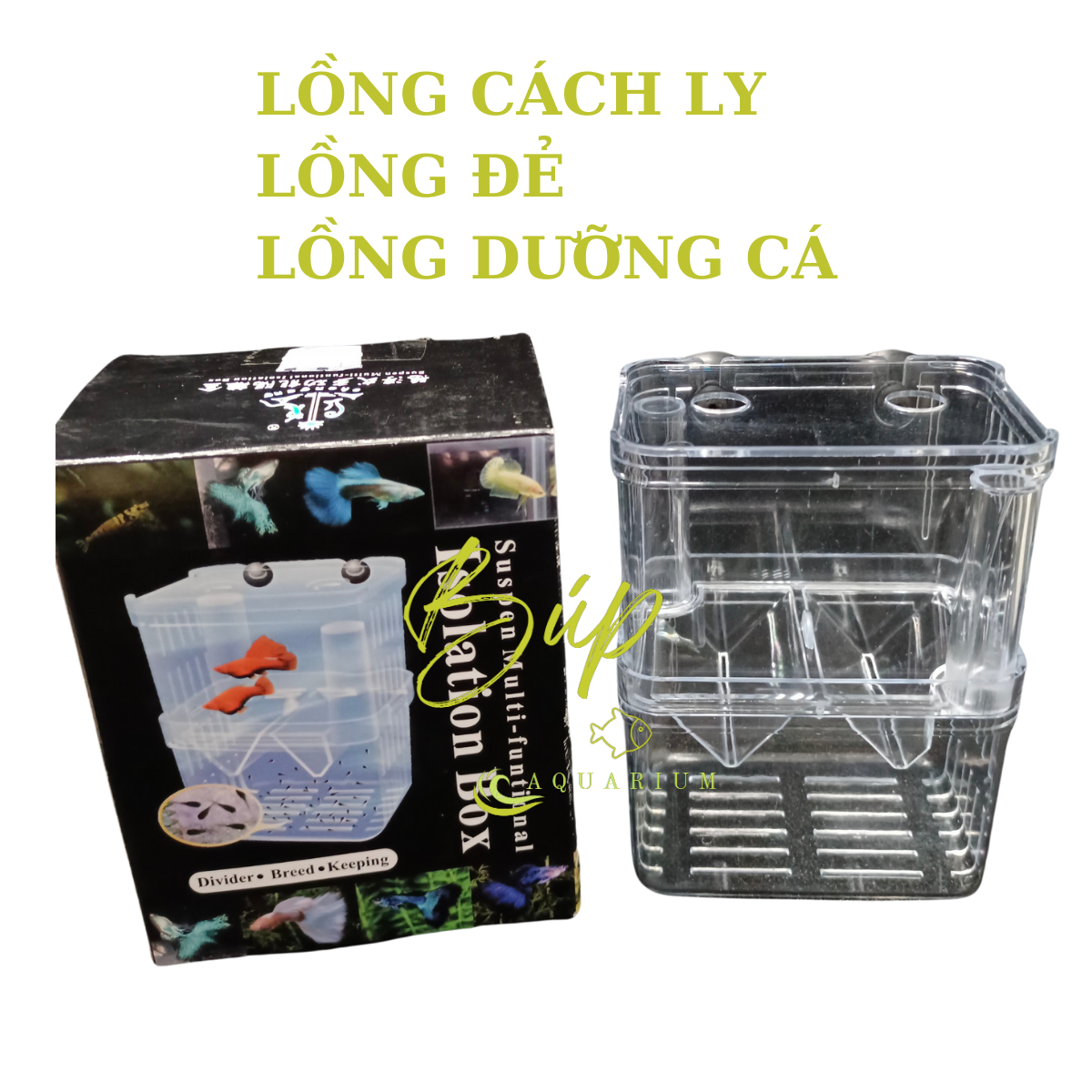Lồng đẻ, lồng cách ly, box dưỡng cá tép cảnh / Búp aqua