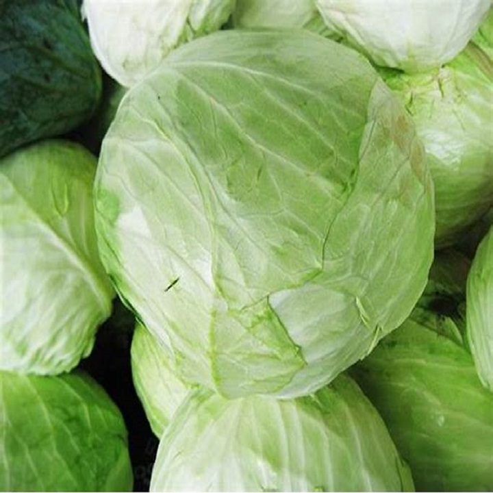 Hạt giống bắp cải xanh, Bắp cải chịu nhiệt năng suất cao - Hạt giống rau củ quả Conve Store