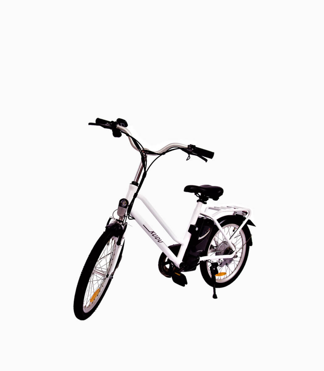 buy electric bike online