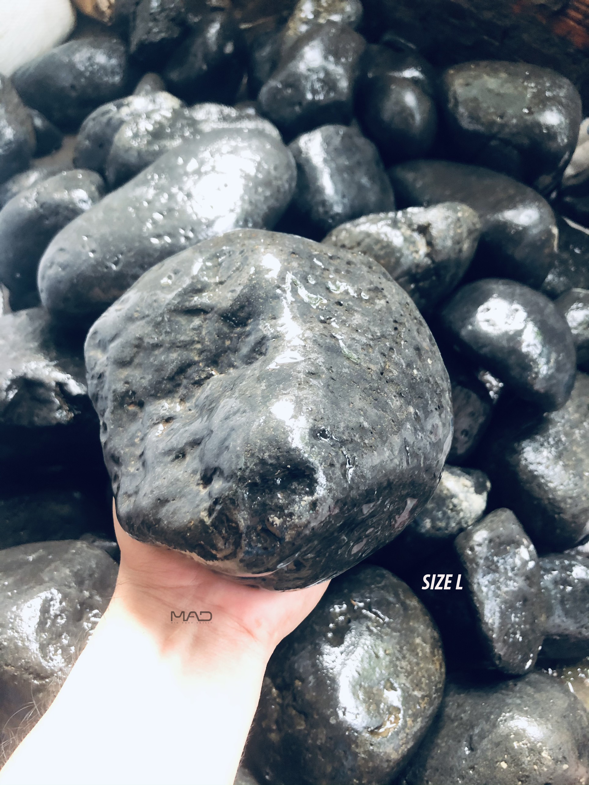Đá cuội đen lỗ trang trí hồ cá hồ thủy sinh