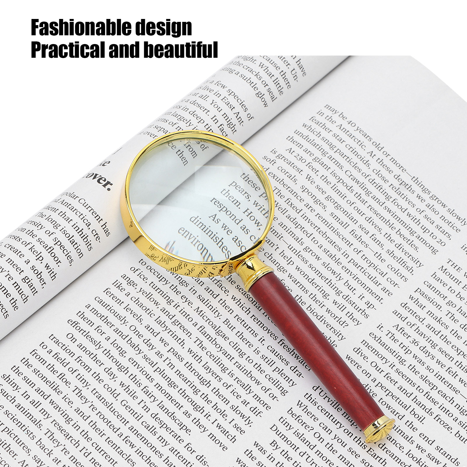 [Fancytoy] 10X Handheld Magnifying Glass Reading Magnifier With Wooden Handle